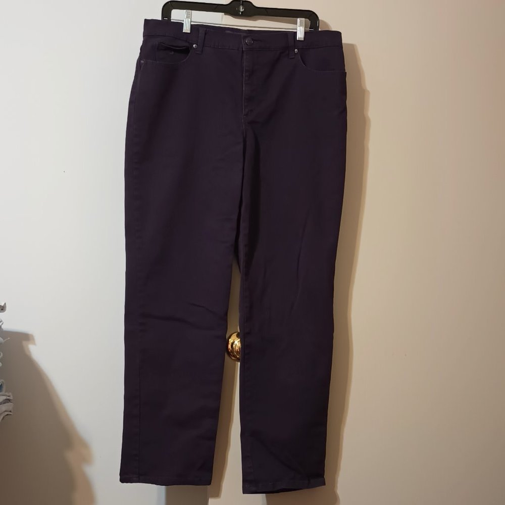 VGUC ~ Gloria Vanderbilt Amanda Classic Women's Straight Jeans (Missy Size: 16)